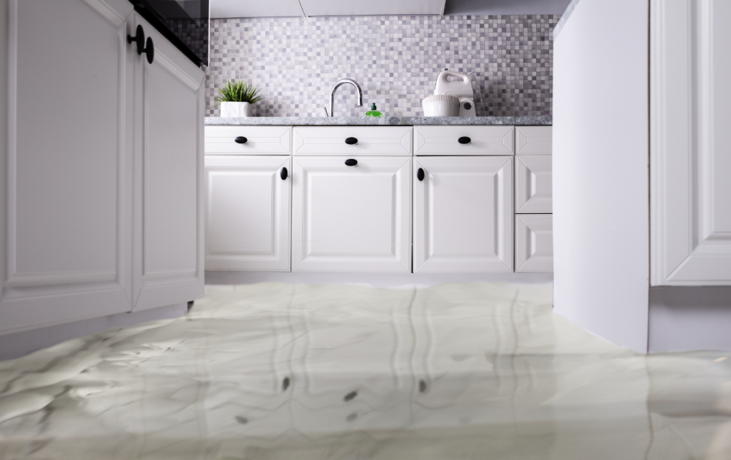 PROTEGER NUESTRA OSMOSIS INVERSA 2